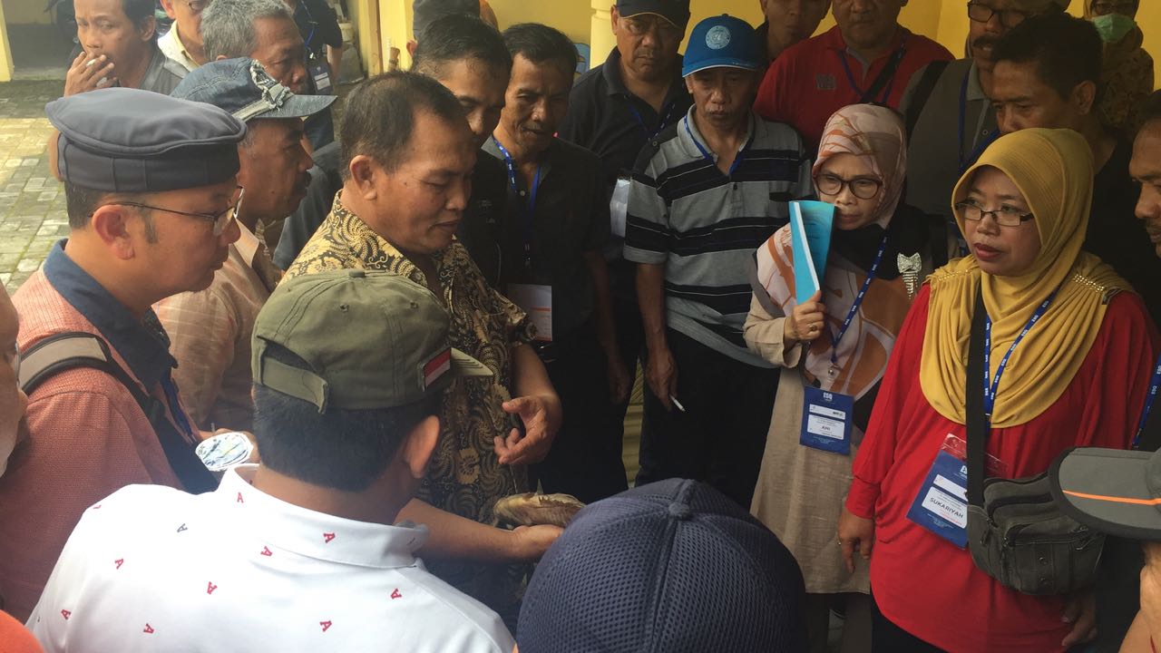 WhatsApp Image 2018-03-07 at 09.26.35