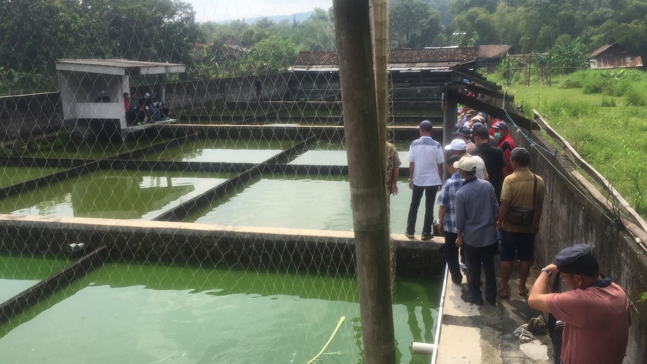 WhatsApp Image 2018-03-07 at 09.31.59